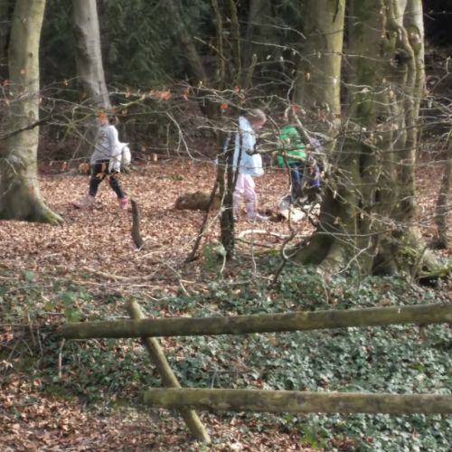 QE Country Park 024